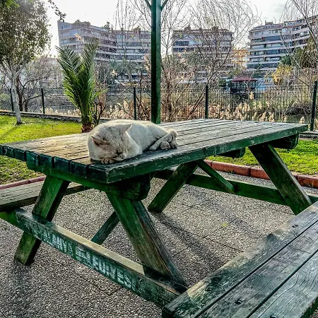 Luxury 7min Walk To Kestel * Alanya
