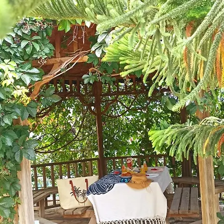 Luxury 7min Walk To Kestel Apartment
